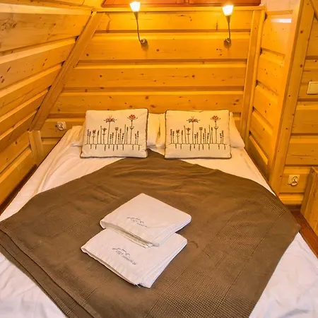 Hotel Visitzakopane White River