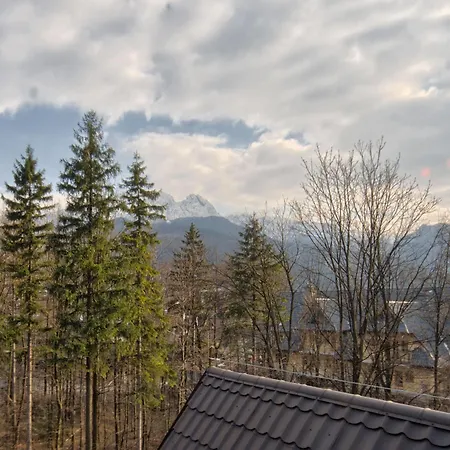 Visitzakopane White River Hotel *